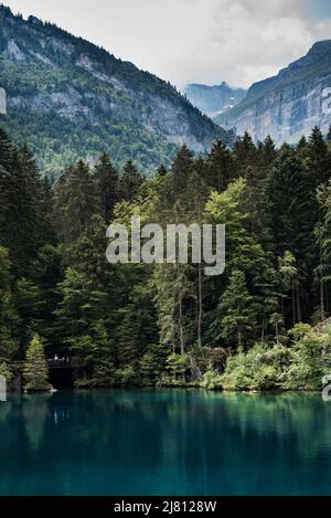 Un romantico lago boschivo nella valle di Kander, splendida vista di Blausee un laghetto cristallino in Svizzera, Alpi Bernesi, Kandersteg, Canton Berna, Foto Stock