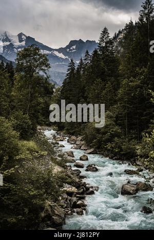 Un romantico lago boschivo nella valle di Kander, splendida vista di Blausee un laghetto cristallino in Svizzera, Alpi Bernesi, Kandersteg, Canton Berna, Foto Stock