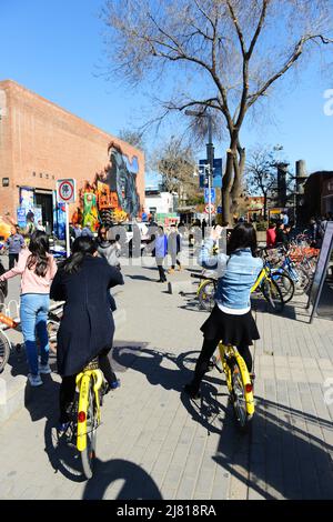 La vibrante zona d'arte del 798 a Chaoyang, Pechino, Cina. Foto Stock