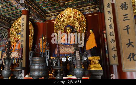 Il bellissimo Tempio dei lama a Pechino, Cina. Foto Stock