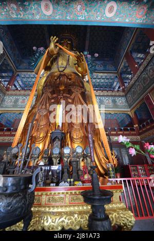 La statua del Buddha Maitreya al tempio lama di Pechino, Cina. Foto Stock