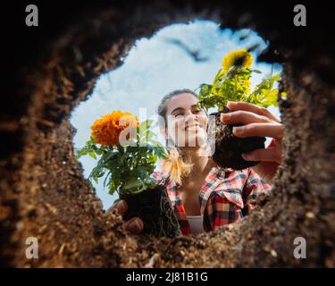 Giovane donna con fiori. Giardinaggio. Vista dal basso. Foto Stock