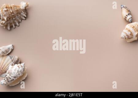 Mockup con conchiglia su sfondo beige Foto Stock