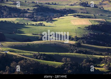 colline erbose e terra regionale dall'alto con luce e ombre Foto Stock