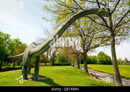 Dinosauro Diplodocus Saurier (dinosauro diplodoide sauropod), proprio accanto alla torre dell'acqua e batterie-Anlage, Basilea-Bruderholz, Svizzera. Foto Stock