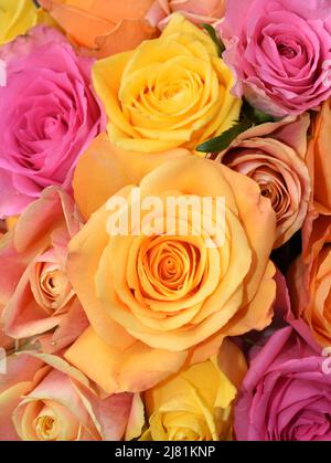Primo piano sul bouquet di rose nei colori giallo arancio e rosa Foto Stock
