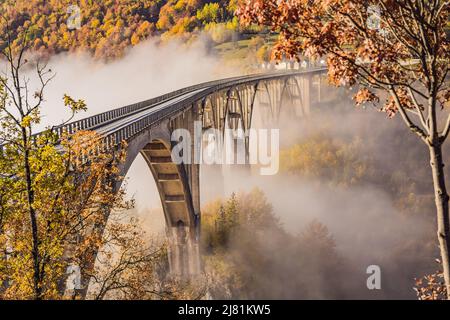 Montenegro. Dzhurdzhevich Ponte sul fiume Tara nebbia mattina Foto Stock