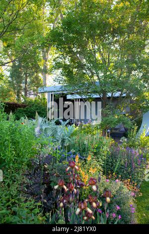 Piantando mescolato in Morgan Stanley giardino disegnato da Chris Beardshaw e vincitore di una medaglia d oro nella mostra giardino categoria al Chelsea Flower S Foto Stock