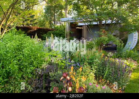 Iris a "Kent Pride' e piantando mescolato in Morgan Stanley giardino disegnato da Chris Beardshaw e vincitore di una medaglia d oro nella mostra giardino Categoria a Foto Stock