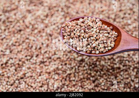 un mucchio di sorgo e sorgo in un cucchiaio di legno. Foto Stock