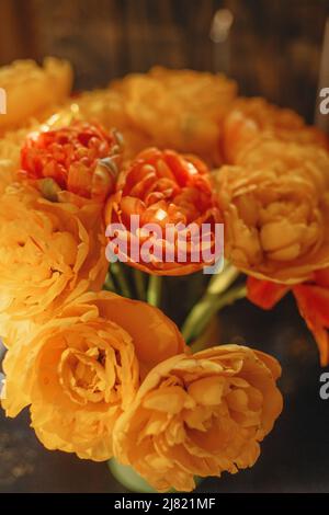 primavera fiori arancio luminoso in colori caldi ad alta espansione Foto Stock