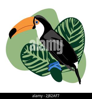 Carta estiva con toucan e calatea foglie su sfondo astratto spot, tropicale uccello esotico con becco grande e verde giungla foglie vettore illustrratio Illustrazione Vettoriale