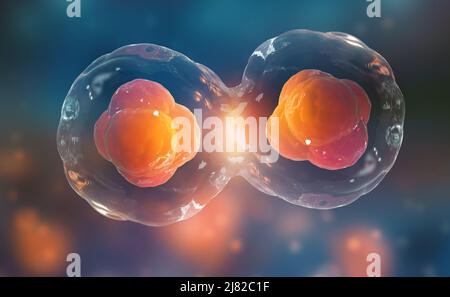 Cellule al microscopio. Divisione cellulare. Terapia cellulare. 3d illustrazione su sfondo scuro Foto Stock