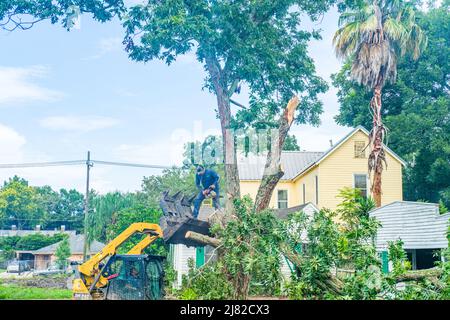 NEW ORLEANS, LA, Stati Uniti d'America - 29 LUGLIO 2020: Lavoratore in piedi sul caricatore frontale che taglia l'albero del pecan con la motosega nel quartiere Uptown Foto Stock