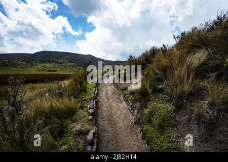 Sentiero escursionistico attraverso il Parco Nazionale Cotopaxi, Parque Nacional Cotopaxi, Ecuador, Sud America Foto Stock