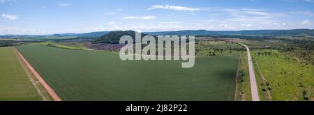 Vista aerea del drone della strada BR-163 e dell'enorme piantagione di soia. Deforestazione nella foresta amazzonica, Mato Grosso, Brasile. Concetto di agricoltura Foto Stock