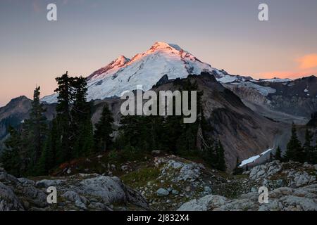 WA21546-00...WASHINGTON - luce dal sole nascente appena toccando la cima del Monte Baker da Artist Point nel Monte Baker-Snoqualmie National Fore Foto Stock