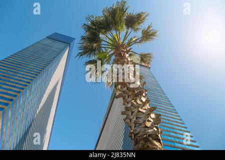 Edifici a più piani, hotel con palme in una giornata di sole, vista dal basso verso l'alto Foto Stock