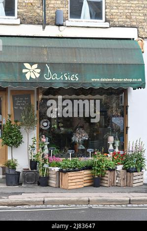 Daisies Flower Shop su Walton Street, nel sobborgo di Oxford di Gerico Foto Stock