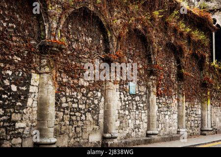 Colonne toscane sul muro dello scambio a Limerick, Irlanda. Foto Stock