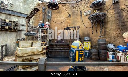 Orlando, FL USA-27 novembre 2019: Gli androidi di Star Wars in mostra negli Hollywood Studios di Orlando, Florida. Foto Stock