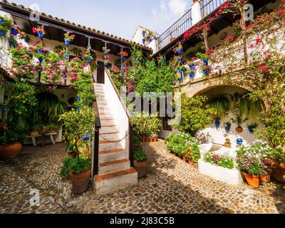 Tradizionale cortile andaluso pieno di piante e fiori nella città vecchia - Cordoba, Spagna Foto Stock