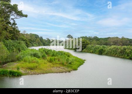 Foresta pluviale e curva del fiume, provincia di Limón, Repubblica di Costa Rica Foto Stock