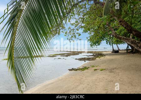 Spiaggia, Chino Beach, Puerto Viejo de Talamanca, Provincia di Limón, Repubblica di Costa Rica Foto Stock