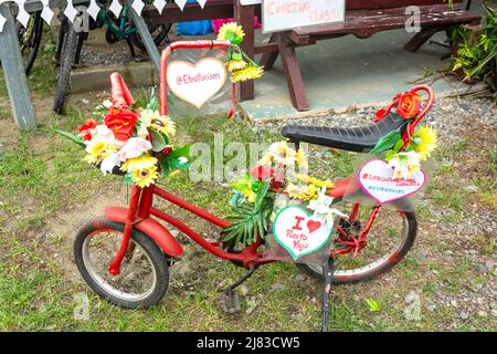 Biciclette decorate fuori dal negozio turistico, C 215, Puerto Viejo de Talamanca, Provincia di Limón, Repubblica di Costa Rica Foto Stock