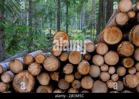 Holzstapel, Baumstaemme, Bayern, Deutschland Foto Stock