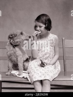 1930S BAMBINA SEDUTA SU UNA PANCHINA MANGIARE UN BISCOTTO CON IL SUO CANE CHE SEMBRA INTERESSATO A CONDIVIDERE IL BISCOTTO - J5223 HAR001 HARS FELICITÀ MAMMIFERI CANINI ALIMENTAZIONE PUOCH CHE CONSUMO CONCETTUALE NUTRIMENTO CONSUMO NUTRIMENTO INTERESSATO COOPERAZIONE CANINA GIOVANI MAMMIFERO NERO E BIANCO ETNIA CAUCASICA HAR001 VECCHIO STILE Foto Stock