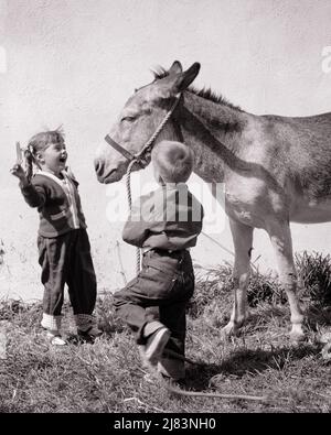 1950S RAGAZZA E RAGAZZO TENGONO L'ALTER DI UN ASINO ACCANTO AD UN MURO DI FIENILE - J8262 HAR001 HARS CURA I MASCHI RISCHIO FRATELLI FIDUCIA PROSSIMO SORELLE B&W FELICITÀ MAMMIFERI E DIVERTIMENTO OPPORTUNITÀ DI RICREAZIONE HALTER FRATELLO GEMMA ASINO RESPONSABILITÀ CONCETTUALE ELEGANTE GIOVANI MAMMIFERO MULO TOGETHERNESS BARNYARD NERO E BIANCO ETNIA CAUCASICA HAR001 VECCHIO STILE Foto Stock