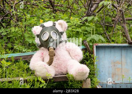 Un orsacchiotto in una maschera a gas si trova sul terreno in erba, attacco a gas, guerra in Ucraina, attacco chimico durante la guerra in Ucraina Foto Stock