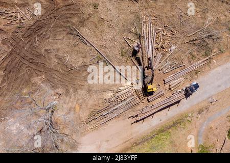 Rimozione albero gru operatore caricamento log sul carrello Foto Stock