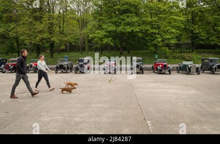 I membri del club automobilistico di Austin 7 prima della guerra e i loro dachshund per animali domestici partecipano al tour "Century of Sevens Celebration" intorno al Derbyshire Dales. Foto Stock