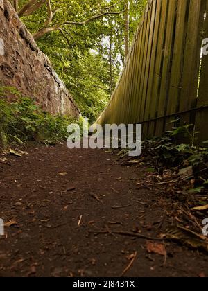 Basso angolo di percorso sterrato tra un muro di pietra e una recinzione di legno che sfugge nel verde (Edimburgo, Scozia). Percorso tra Colinton Road e Myreside Rd Foto Stock