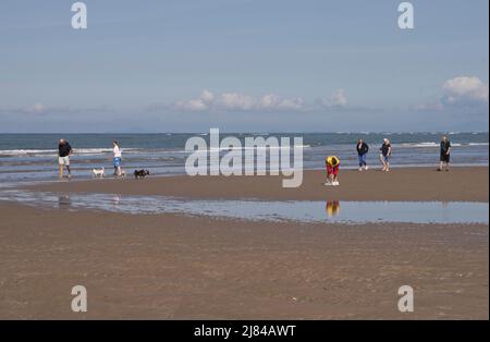 Le famiglie godono del sole primaverile su una spiaggia a Ynyslas, l'estuario di Dyfi, Borth , Aberystwyth, Ceredigion, Galles, Regno Unito Foto Stock