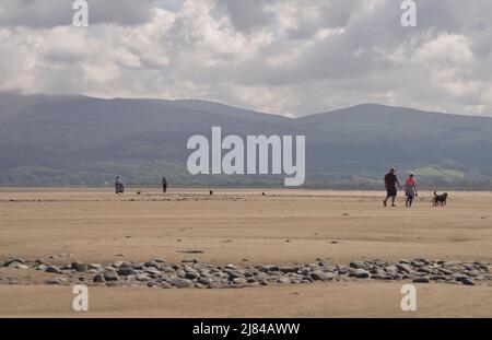 Le famiglie godono del sole primaverile su una spiaggia a Ynyslas, l'estuario di Dyfi, Borth , Aberystwyth, Ceredigion, Galles, Regno Unito Foto Stock