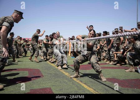 Yuma, Arizona, Stati Uniti. 29th Apr 2022. I Marines degli Stati Uniti da Marine Wing Support Squadron (MWSS) 371 partecipano a una sfida di rimorchiatore durante la competizione annuale di Super Squadron alla Marine Corps Air Station Yuma, Arizona, 29 aprile 2022. Lo scopo di questo evento era quello di dare a Marines e marinai l'opportunità di competere in competizione amichevole e migliorare il morale unitario. Credit: U.S. Marines/ZUMA Press Wire Service/ZUMAPRESS.com/Alamy Live News Foto Stock