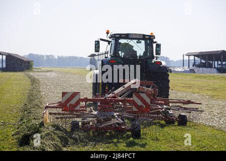 Kranj, Slovenia. 12th maggio 2022. Un agricoltore rastrema erba maltrattata a Zabnica. Dopo aver falciato l'erba un giorno prima, un agricoltore sloveno è riuscito a rastrellare l'erba e a raccoglierla per insilare il giorno successivo, che è insolitamente veloce. Ciò è stato reso possibile dalle alte temperature che hanno raggiunto i 30 gradi Celsius il 12 maggio 2022. Credit: SOPA Images Limited/Alamy Live News Foto Stock