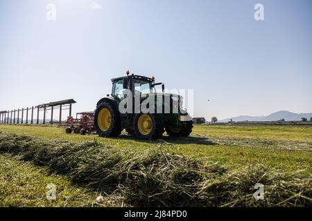 Kranj, Slovenia. 12th maggio 2022. Un agricoltore rastrema erba maltrattata a Zabnica. Dopo aver falciato l'erba un giorno prima, un agricoltore sloveno è riuscito a rastrellare l'erba e a raccoglierla per insilare il giorno successivo, che è insolitamente veloce. Ciò è stato reso possibile dalle alte temperature che hanno raggiunto i 30 gradi Celsius il 12 maggio 2022. Credit: SOPA Images Limited/Alamy Live News Foto Stock