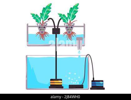 Sistema di tecnica della pellicola nutriente in flusso di metodo di agricoltura intelligente di acqua e nutrienti usando flusso poco profondo Illustrazione Vettoriale