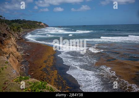 Londonberry Bay, una spiaggia di sabbia nera, sull'aspra costa orientale di Dominica e dove è stata girata una scena dei Pirati dei Caraibi al World's End. Foto Stock