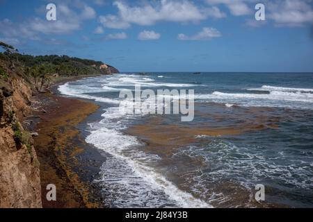 Londonberry Bay, una spiaggia di sabbia nera, sull'aspra costa orientale di Dominica e dove è stata girata una scena dei Pirati dei Caraibi al World's End. Foto Stock