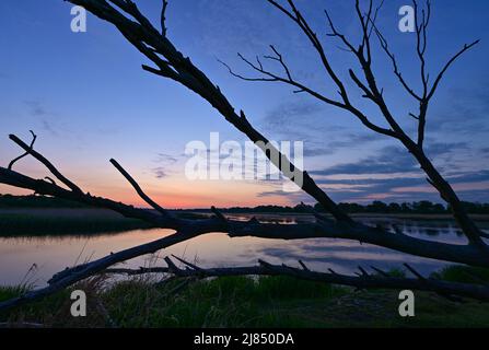 Reitwein, Germania. 13th maggio 2022. Poco prima dell'alba, il cielo mattutino si riflette nel colorato fiume Oder al confine tedesco-polacco. Il fiume Oder, lungo circa 840 chilometri, sorge nella Repubblica Ceca, attraversa la Polonia e infine sfocia nel Mar Baltico nella laguna di Szczecin. Credit: Patrick Pleul/dpa/Alamy Live News Foto Stock