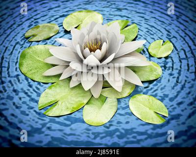 lilly bianco sull'acqua. 3D illustrazione. Foto Stock