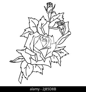 disegno isolato nero contorno di un ramo rosa su uno sfondo bianco grafica, colorazione, design Foto Stock