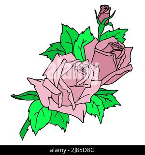 carta grafica a colori con un ramo di rosa rosa su sfondo bianco, disegno di contorno, arte Foto Stock