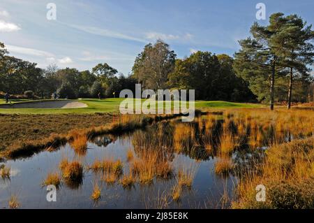 Vista sullo stagno accanto al 4th Green to the Green and Bunkers, Blackmoor Golf Club, Bowden, Hampshire, Inghilterra Foto Stock