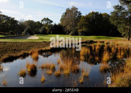 Vista sullo stagno accanto al 4th Green to the Green and Bunkers, Blackmoor Golf Club, Bowden, Hampshire, Inghilterra Foto Stock